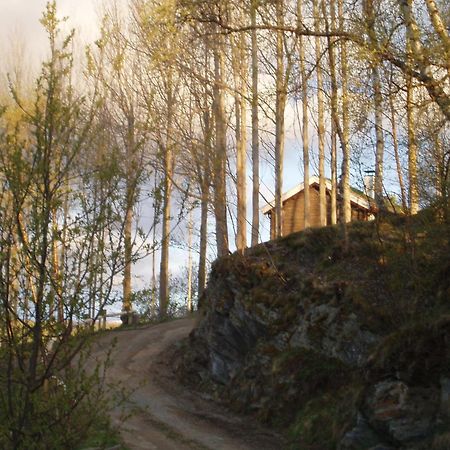 Ivaregga Vinterstua Tolga Esterno foto