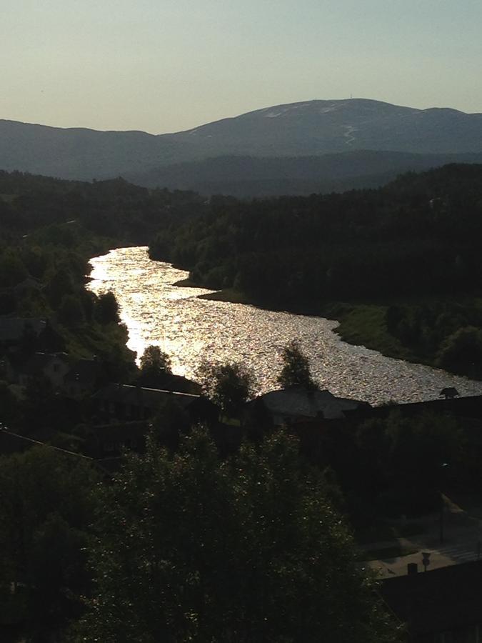 Ivaregga Vinterstua Tolga Esterno foto