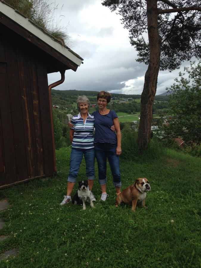 Ivaregga Vinterstua Tolga Esterno foto